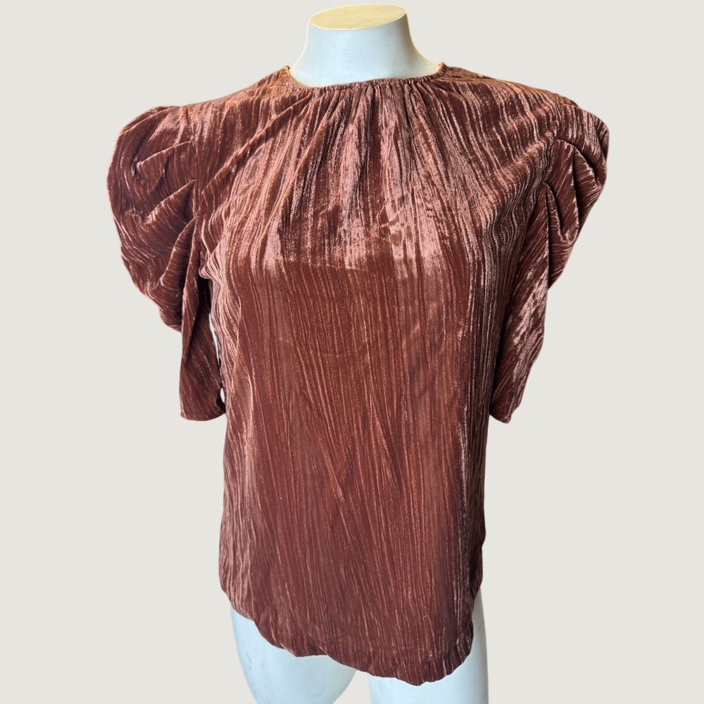 NWT WAYF Greyson Cinnamon Crushed Velvet Puff Sleeve Top